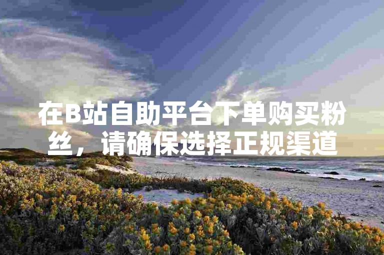 在B站自助平台下单购买粉丝，请确保选择正规渠道。