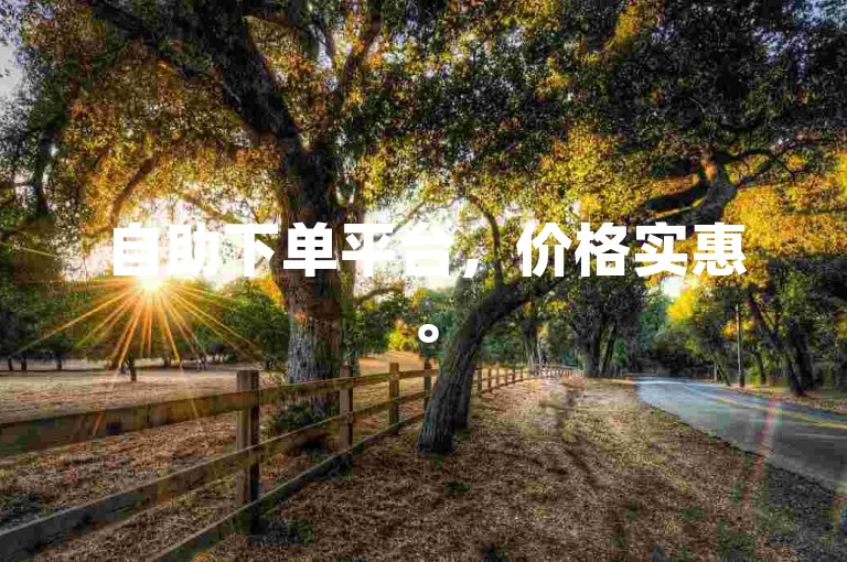 自助下单平台，价格实惠。