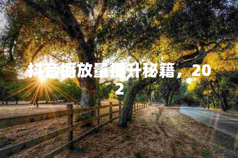 抖音播放量提升秘籍，2025年必学技巧！