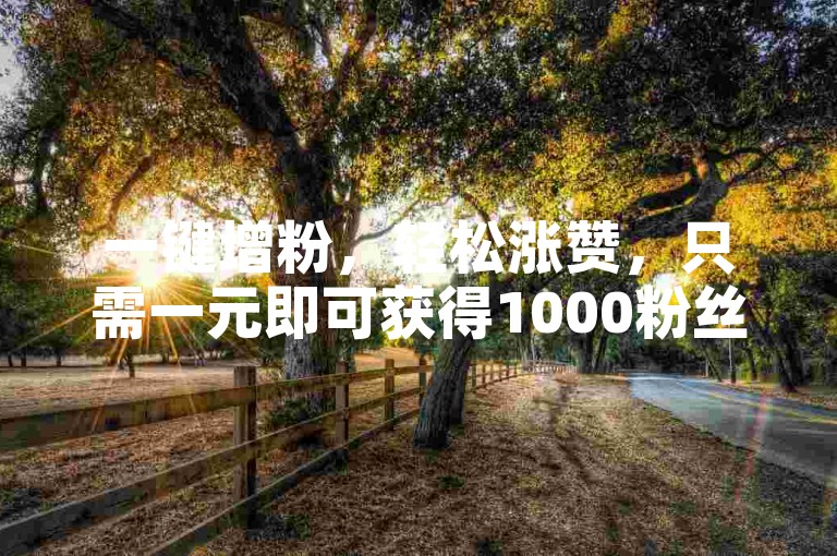 一键增粉，轻松涨赞，只需一元即可获得1000粉丝。