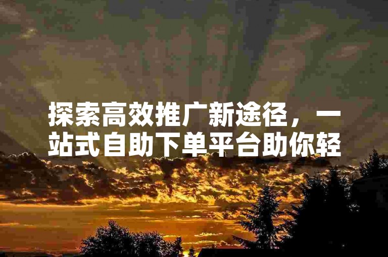 探索高效推广新途径，一站式自助下单平台助你轻松增粉。