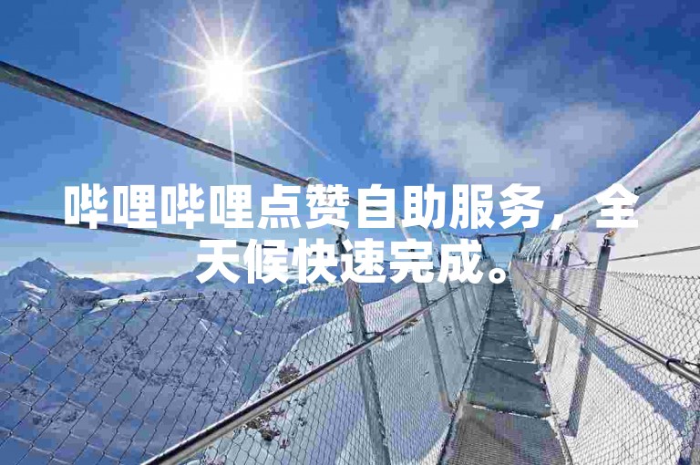哔哩哔哩点赞自助服务，全天候快速完成。