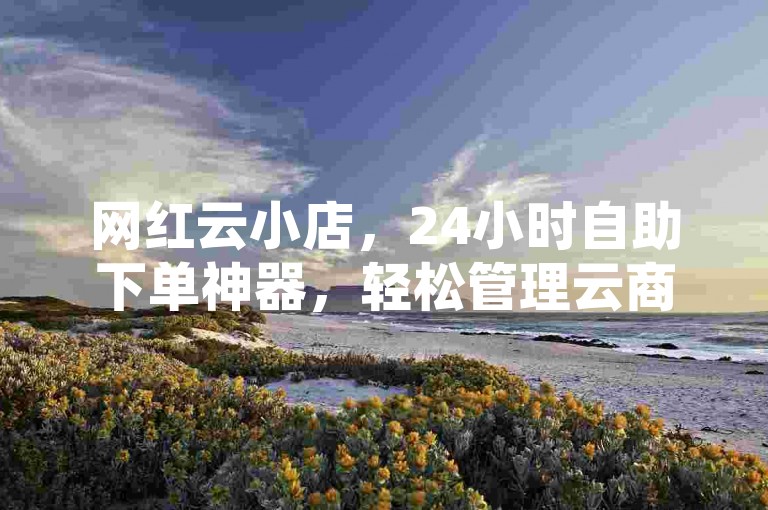 网红云小店，24小时自助下单神器，轻松管理云商城。