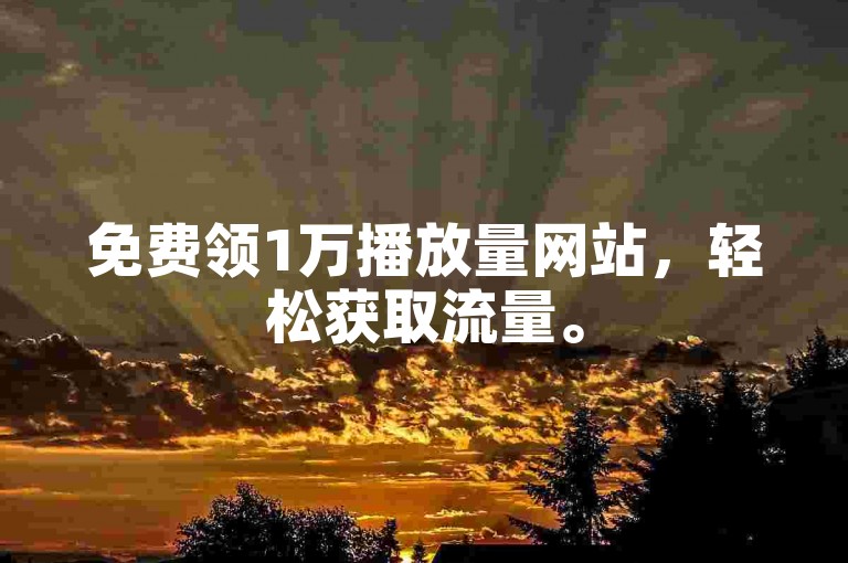 免费领1万播放量网站，轻松获取流量。