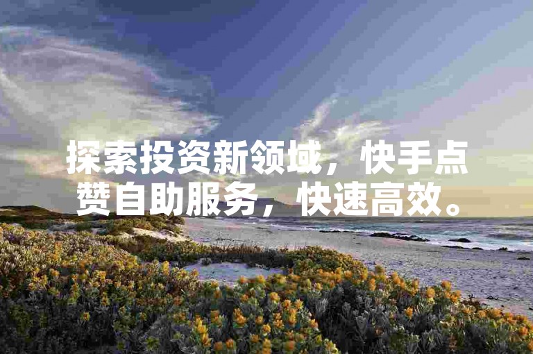 探索投资新领域，快手点赞自助服务，快速高效。