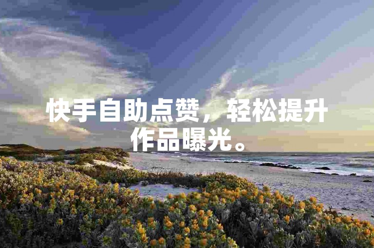 快手自助点赞，轻松提升作品曝光。