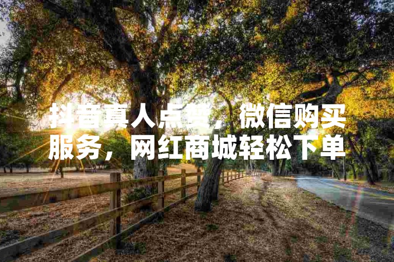 抖音真人点赞，微信购买服务，网红商城轻松下单。