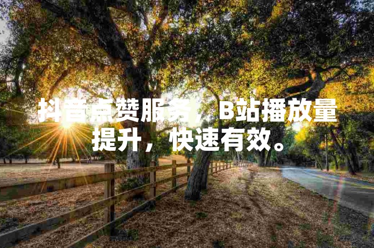 抖音点赞服务，B站播放量提升，快速有效。