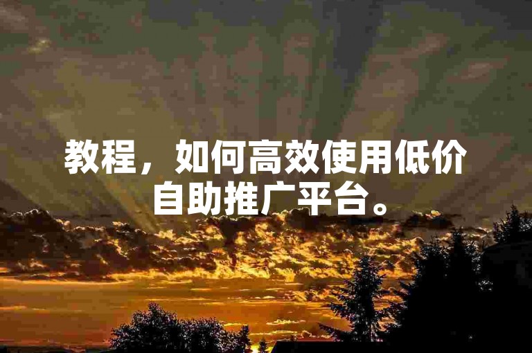 教程，如何高效使用低价自助推广平台。