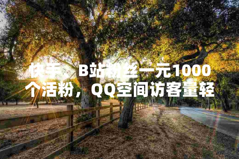 快手、B站粉丝一元1000个活粉，QQ空间访客量轻松提升。