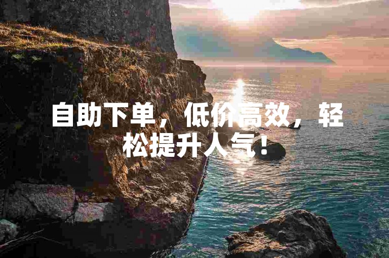 自助下单，低价高效，轻松提升人气！