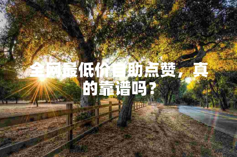全网最低价自助点赞，真的靠谱吗？