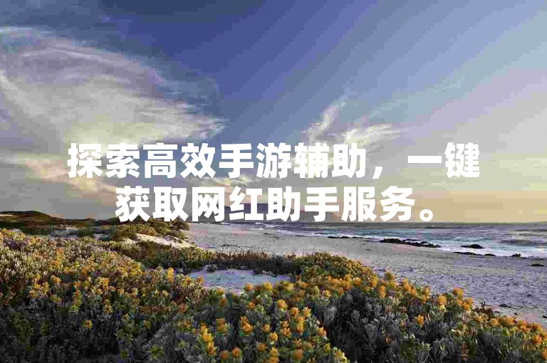 探索高效手游辅助，一键获取网红助手服务。