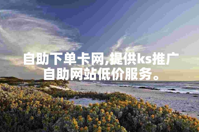 自助下单卡网,提供ks推广自助网站低价服务。