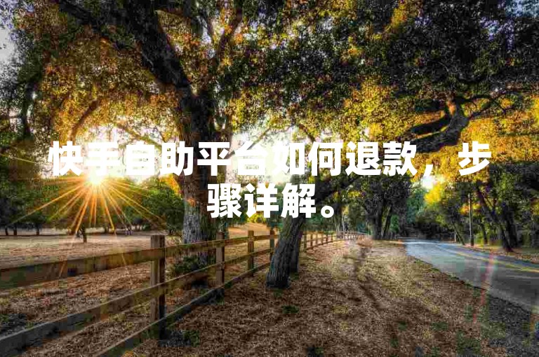 快手自助平台如何退款，步骤详解。