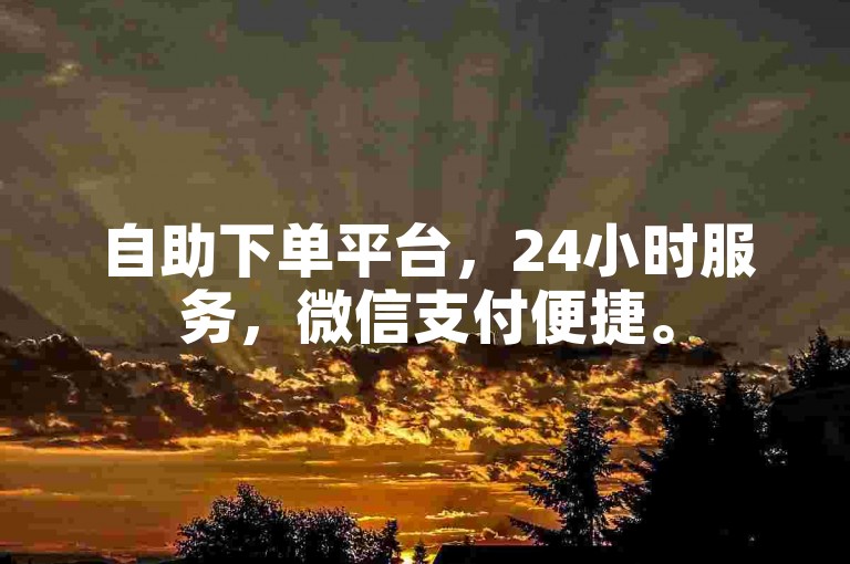 自助下单平台，24小时服务，微信支付便捷。