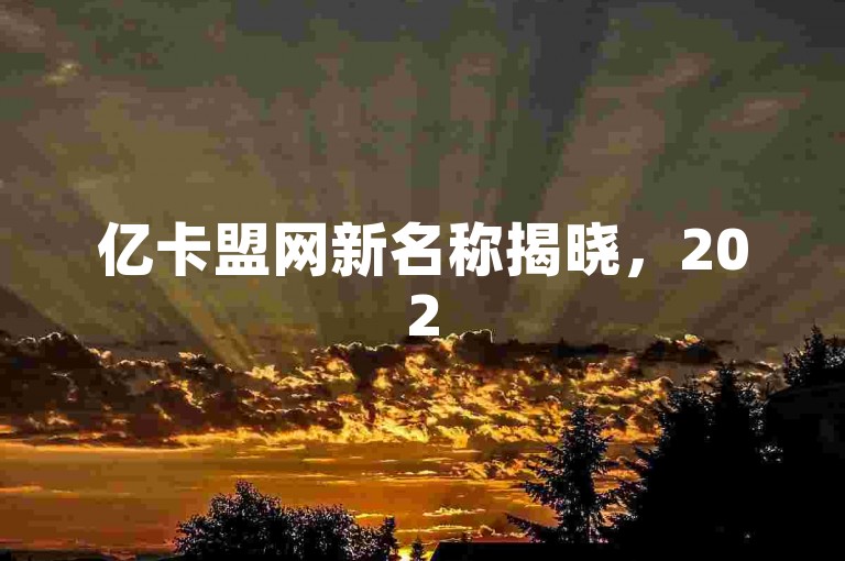 亿卡盟网新名称揭晓，2025年必备知识！