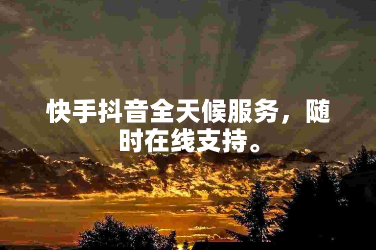 快手抖音全天候服务，随时在线支持。