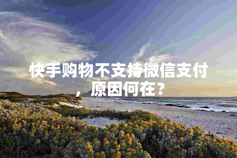 快手购物不支持微信支付，原因何在？