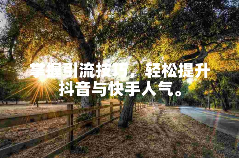 掌握引流技巧，轻松提升抖音与快手人气。
