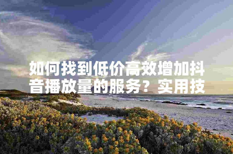 如何找到低价高效增加抖音播放量的服务？实用技巧分享！