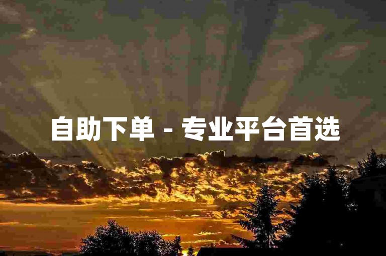 自助下单 - 专业平台首选