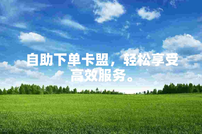 自助下单卡盟，轻松享受高效服务。