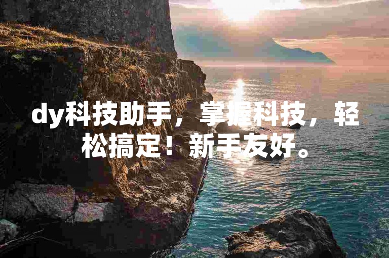 dy科技助手，掌握科技，轻松搞定！新手友好。