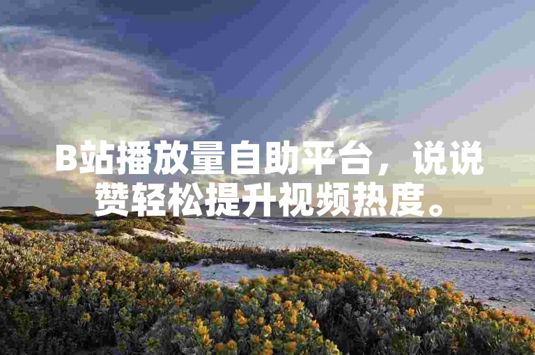 B站播放量自助平台，说说赞轻松提升视频热度。