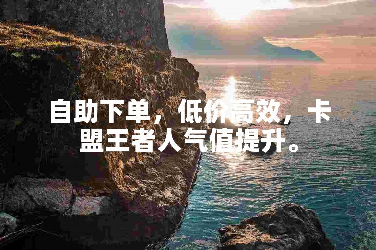 自助下单，低价高效，卡盟王者人气值提升。