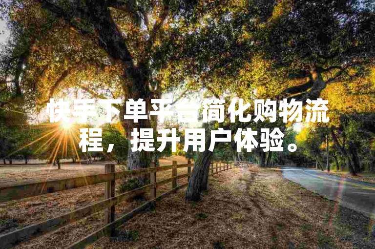 快手下单平台简化购物流程，提升用户体验。