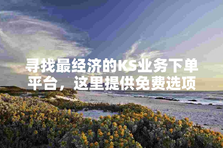 寻找最经济的KS业务下单平台，这里提供免费选项。