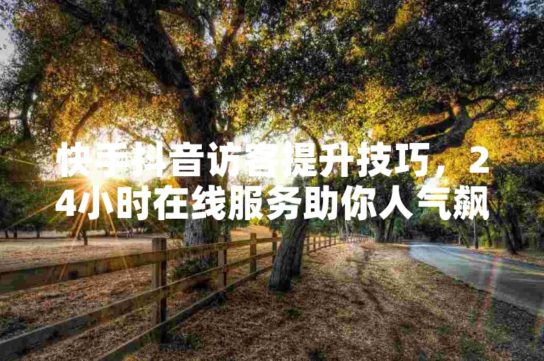 快手抖音访客提升技巧，24小时在线服务助你人气飙升。