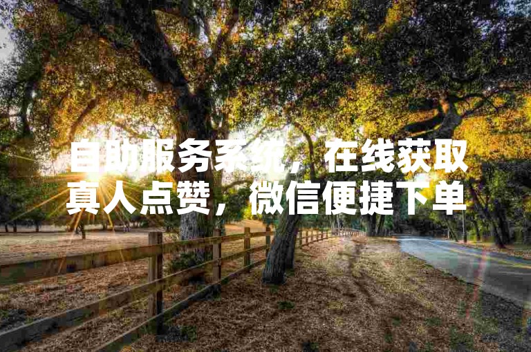 自助服务系统，在线获取真人点赞，微信便捷下单。