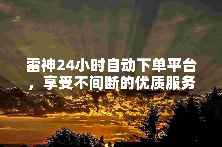 雷神24小时自动下单平台，享受不间断的优质服务体验！