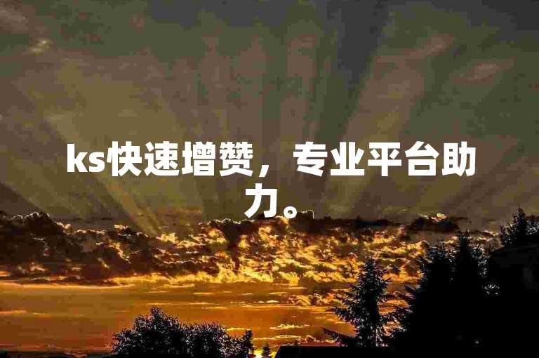 ks快速增赞，专业平台助力。