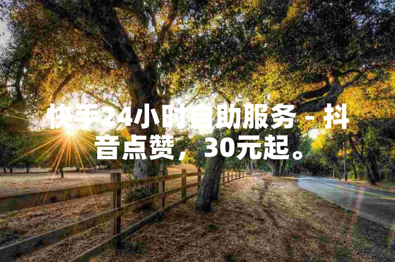 快手24小时自助服务 - 抖音点赞，30元起。