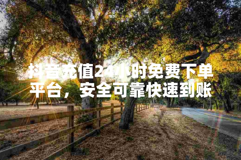 抖音充值24小时免费下单平台，安全可靠快速到账。