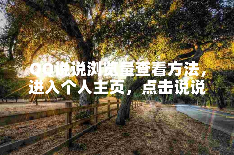 QQ说说浏览量查看方法，进入个人主页，点击说说旁的数字即可。