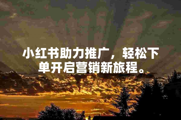 小红书助力推广，轻松下单开启营销新旅程。
