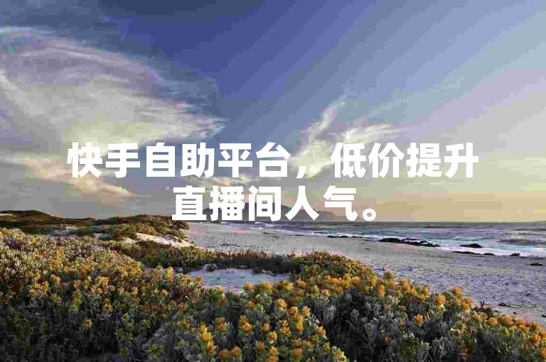 快手自助平台，低价提升直播间人气。