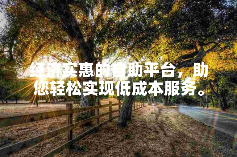 经济实惠的自助平台，助您轻松实现低成本服务。