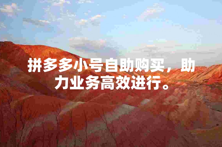 拼多多小号自助购买，助力业务高效进行。