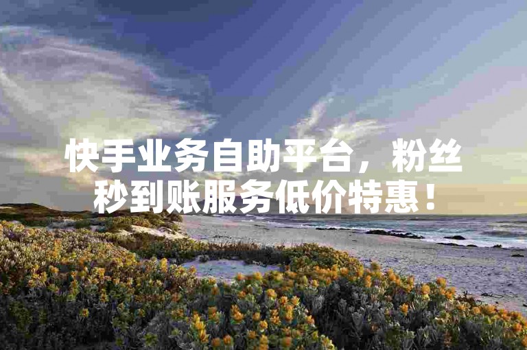 快手业务自助平台，粉丝秒到账服务低价特惠！