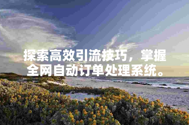 探索高效引流技巧，掌握全网自动订单处理系统。
