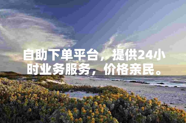 自助下单平台，提供24小时业务服务，价格亲民。