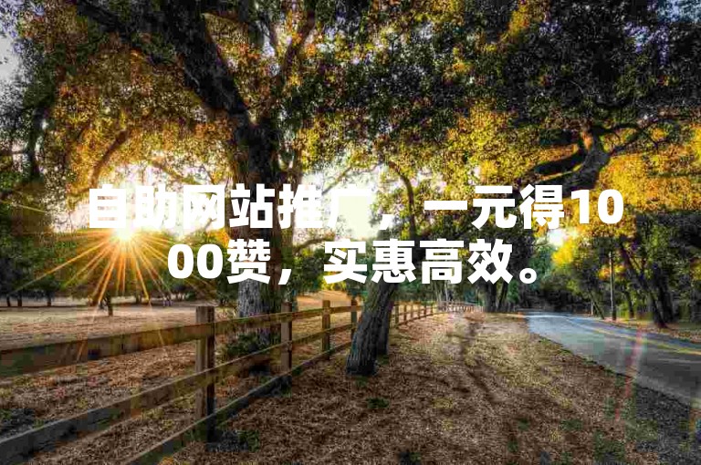 自助网站推广，一元得1000赞，实惠高效。