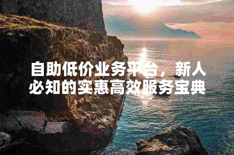 自助低价业务平台，新人必知的实惠高效服务宝典！