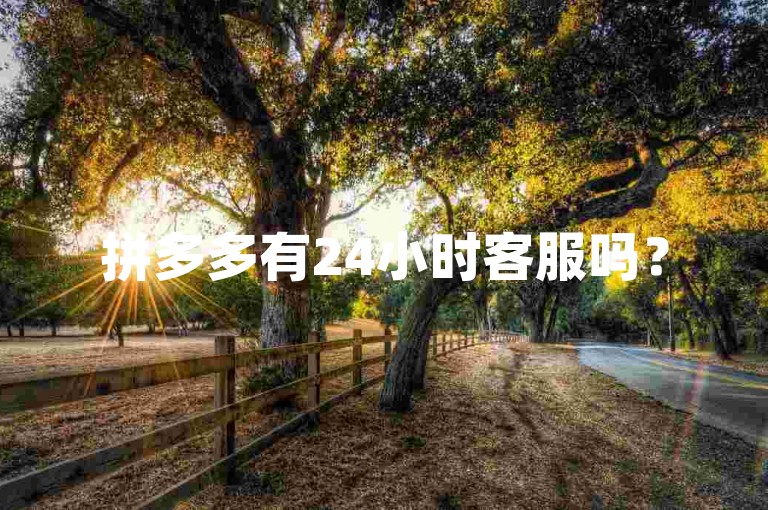 拼多多有24小时客服吗？
