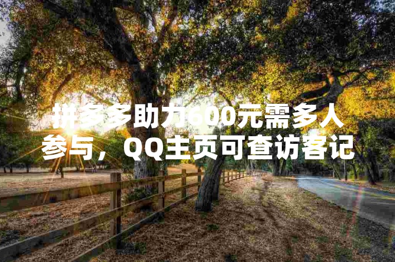 拼多多助力600元需多人参与，QQ主页可查访客记录。